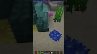 Minecraft Turtle Nest!