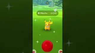 Only 0.001% own the Rarest Shiny Pikachu in Pokémon GO!