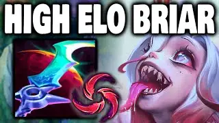 How Briar CARRIES in HIGH ELO | Briar Jungle Gameplay Guide Season 14 Best Runes + Build