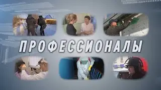 ПРОФЕССИОНАЛЫ  медсестра Зубарева