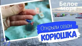 ОТКРЫЛИ СЕЗОН КОРЮШКИ 🎣 КОСЫ 🐟 РЫБАЛКА НА КОРЮХА И НАВАГУ