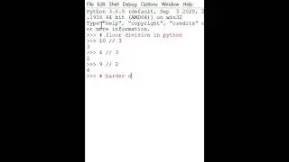 How to do a floor division in python