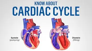 CARDIAC CYCLE | SYSTOLE | DISTOLE