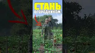ВСЕ О САДОВОДСТВЕ в DayZ 