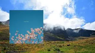 Chama Wijnen - Reaching