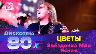 Цветы - Звёздочка Моя Ясная (Дискотека 80-х 2010)