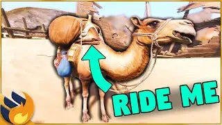 A NEW MOUNT Is COMING To Conan Exiles! What Is It Going To Be?