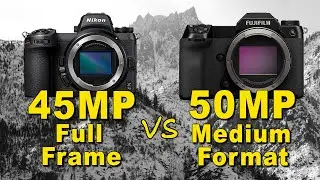 Full Frame vs Medium Format - Image Quality Test