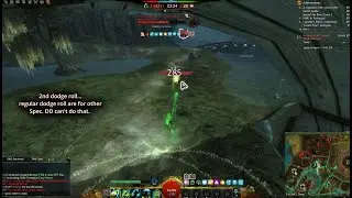 GW2│ WvW - This DD Thief ALTERED his Dodge Roll...