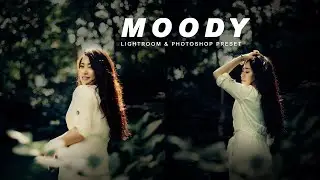 Moody Preset | Lightroom and photoshop Presets Free DNG and XMP Download