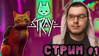 ^ STRAY ^ КОТ В МИРЕ РОБОТОВ ПРОХОЖДЕНИЕ СТРИМ #1