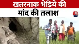 Bahraich Wolf News: सिकंदरपुर गांव में भेड़िये की मांद की तलाश | UP News | Aaj Tak News