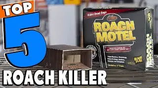 Top 5 Best Roach Killer Review In 2024