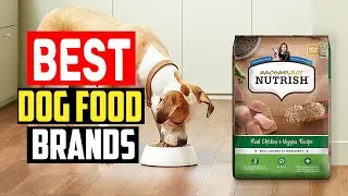 ✅Best Dog Food Brands in 2023