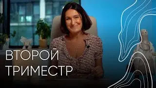 Второй триместр | Акушер - гинеколог Людмила Шупенюк