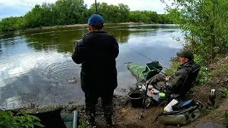 Ловля крупного КАРАСЯ на фидер на реке. (LiveFishing)