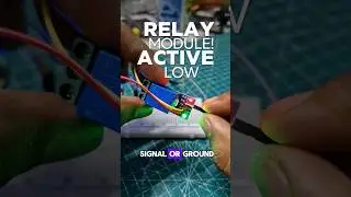 Relay model Active-low and Active-high. #electronics #arduino #homeautomation #esp #education #tech