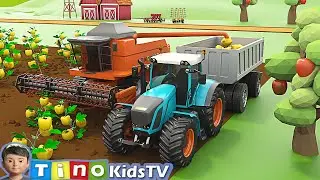 Tractor & Combine Harvester for Kids Planting Bell pepper | Farm Trucks for Children