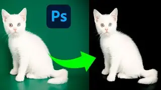 Eliminar el fondo de una imagen - Tutorial photoshop