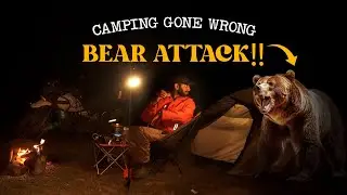 Wild Bear attacked my campsite | Almost Died today | Camping in Wild