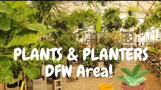 Plant Shop with Me! | Dfw's Plants & Planters  🌵