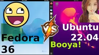 Fedora 36 vs Ubuntu 2204: Boooya!