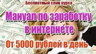 Мануал по заработку в интернете. Слив курса. От 5000 рублей в день на бесплатном трафике