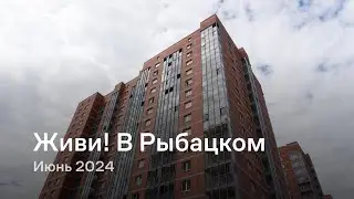 «Живи! В Рыбацком» / Июнь 2024