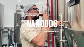 Welcome to NanoDog