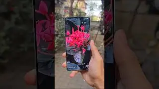 Samsung S25 Ultra Camera Test 🔥