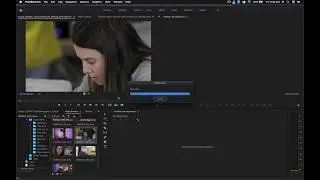 Importing Assets Through Media Browser In Premiere Pro