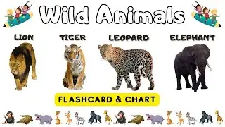 Wild Animal | Wild Animals for toddlers | Wild Animals for Kids