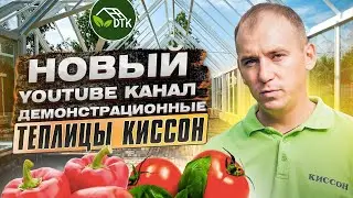 Запуск НОВОГО YouTube канала Демонстрационные Теплицы Киссон