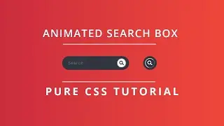 Animated CSS Search Box | HTML & CSS Tutorial