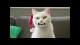 котэ поет тест на психику