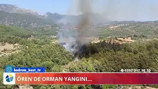 ÖREN'DE ORMAN YANGINI