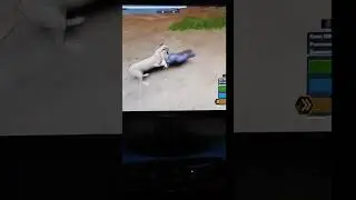 Wild savannah, lioness hunting warthog:Р roblox. 