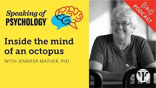 Inside the mind of an octopus, with Jennifer Mather, PhD | Speaking of Psychology