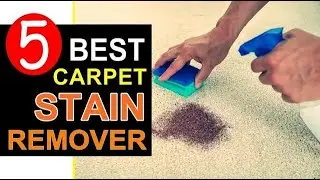 🏆 Top 5 Best Carpet Stain Remover in 2023-2024 🌟Expert Guide🌟