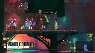 Dead Cells 3.5 (alpha) prayer build