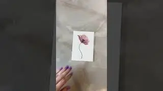 Временная тату 2SKIN «Прозрачный розовый мак» / Процесс нанесения