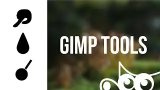 GIMP | Smudge, Blur Sharpen, and Dodge Burn Tools