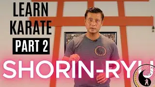 Martial Arts Tutorial | Shorin Ryu | Part 2 (Combination Drills)