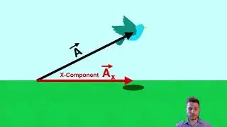 X and Y Components of Vectors - IB Physics