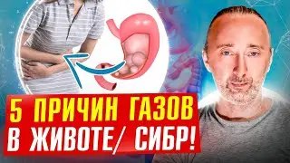 Газы, бурление: как наладить пищеварение? Вредная еда для ЖКТ!