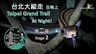 台北大縱走 - 在晚上 Taipei Grand Trail - AT NIGHT (Stage 2 第二段)