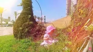 Sweet Melissa TV. Вертикальная клумба и пруд с золотыми рыбками אתגר הקיץ