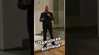 "Одинокая волчица" Внуков Александр/кавер / Белый Орёл/ #музыка #песни #кавер