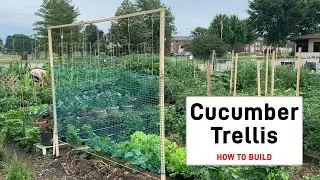 How to Build Basic Cucumber Trellis