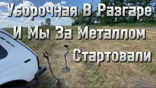 Коп Металла Вдоль Поля! Здесь всегда можно найти что нибудь! Металлокоп2024#metaldetecting